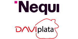 Visa partner logo